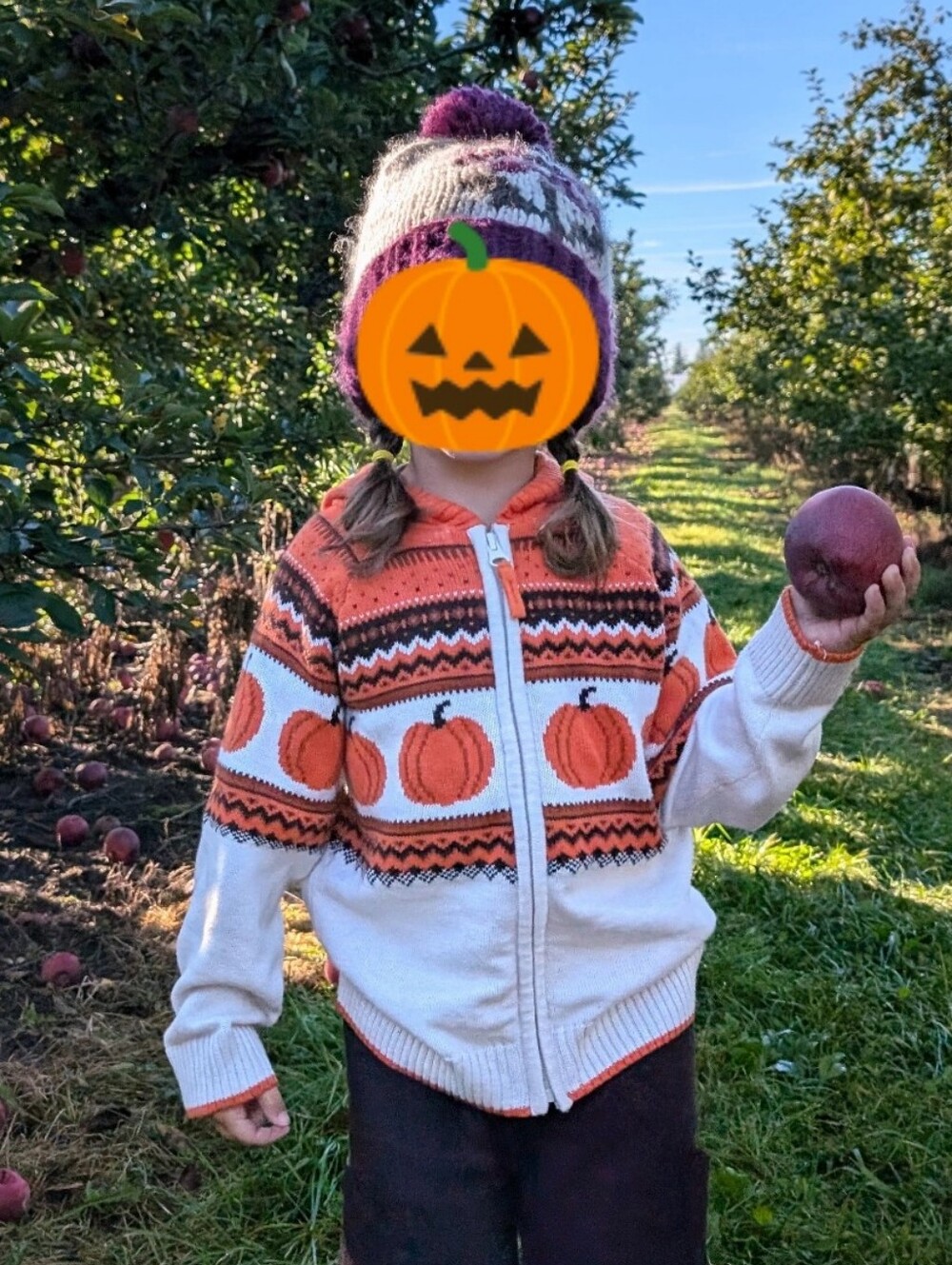 Gymboree Pumpkin Knit Hoodie Sweater Jacket - Orange & Cream Size 4t Unisex